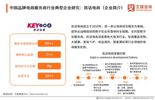 2023年中國品牌電商服務(wù)商行業(yè)研究報(bào)告 洞察趨勢(shì)，賦能增長